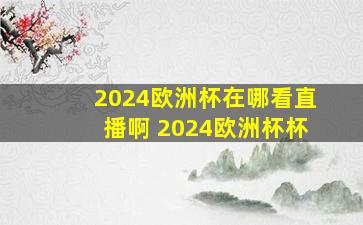 2024欧洲杯在哪看直播啊 2024欧洲杯杯